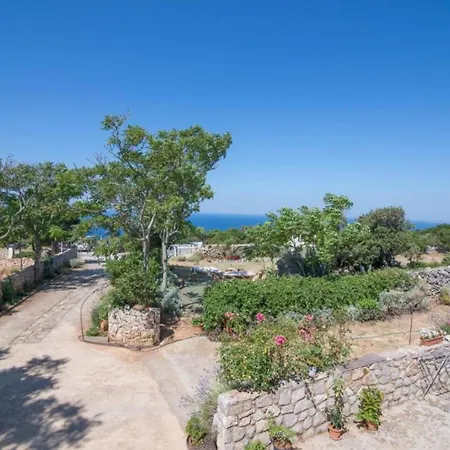 Hilltop Oasis * Veli Lošinj