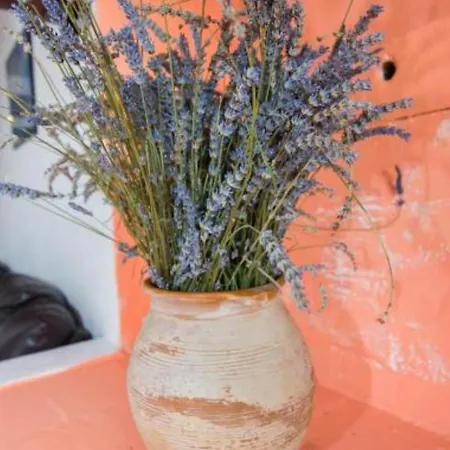 Appartement Hilltop Oasis Veli Lošinj