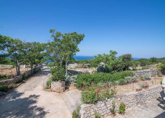 Hilltop Oasis * Veli Lošinj