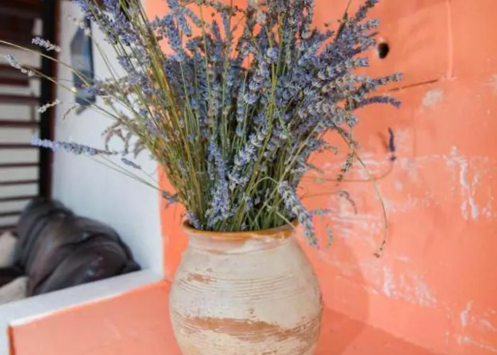 Appartement Hilltop Oasis Veli Lošinj